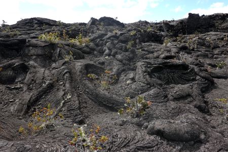 Láva Pahoehoe podél treku ke kráteru Napau